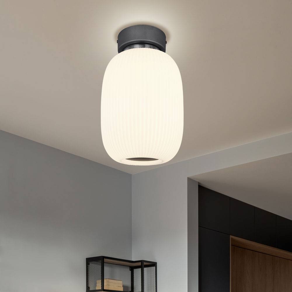 Deckenleuchte Deckenlampe Wohnzimmerleuchte Schlafzimmerlampe Küchenleuchte oval, Metall Glas graphit nickel, 1x LED 21W 1237Lm 3000K warmweiß, H 32