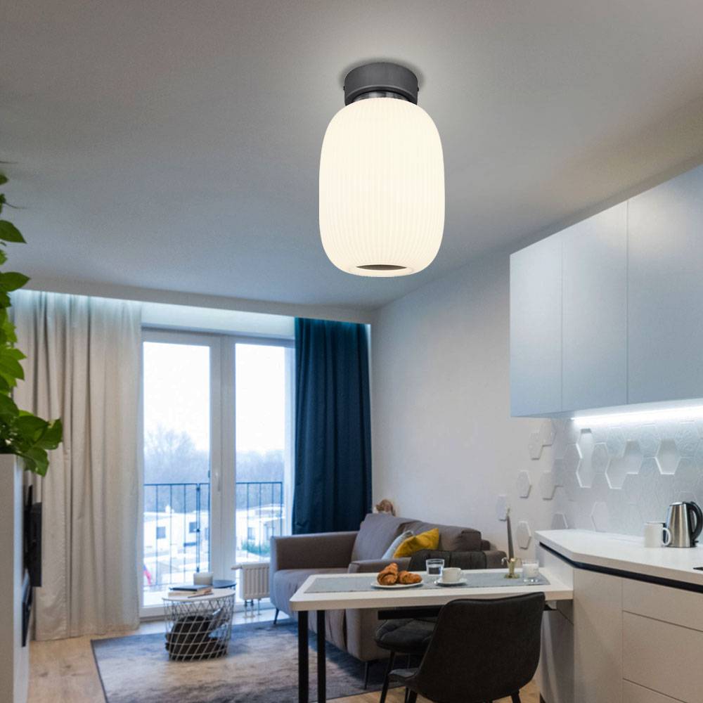 Deckenleuchte Deckenlampe Wohnzimmerleuchte Schlafzimmerlampe Küchenleuchte oval, Metall Glas graphit nickel, 1x LED 21W 1237Lm 3000K warmweiß, H 32