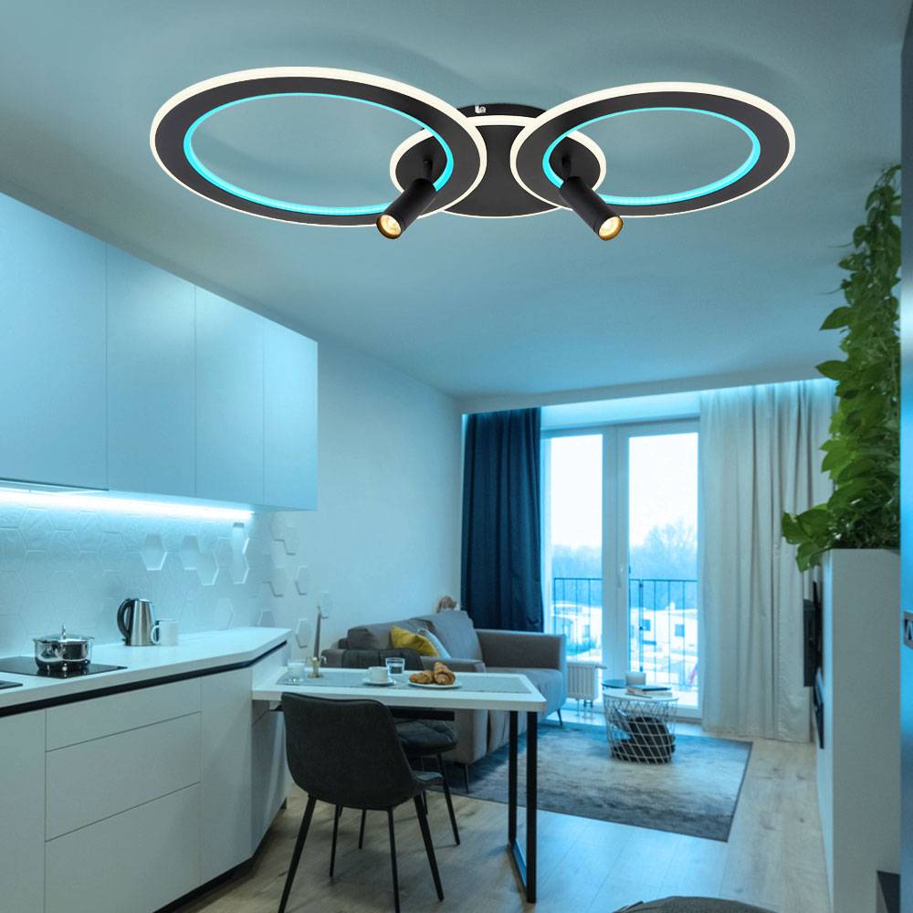 LED Deckenleuchte Deckenlampe Wohnzimmerleuchte Esszimmerlampe, Metall schwarz Acryl, dimmbar Fernbedienung RGB CCT Spots beweglich, 60W 2579Lm