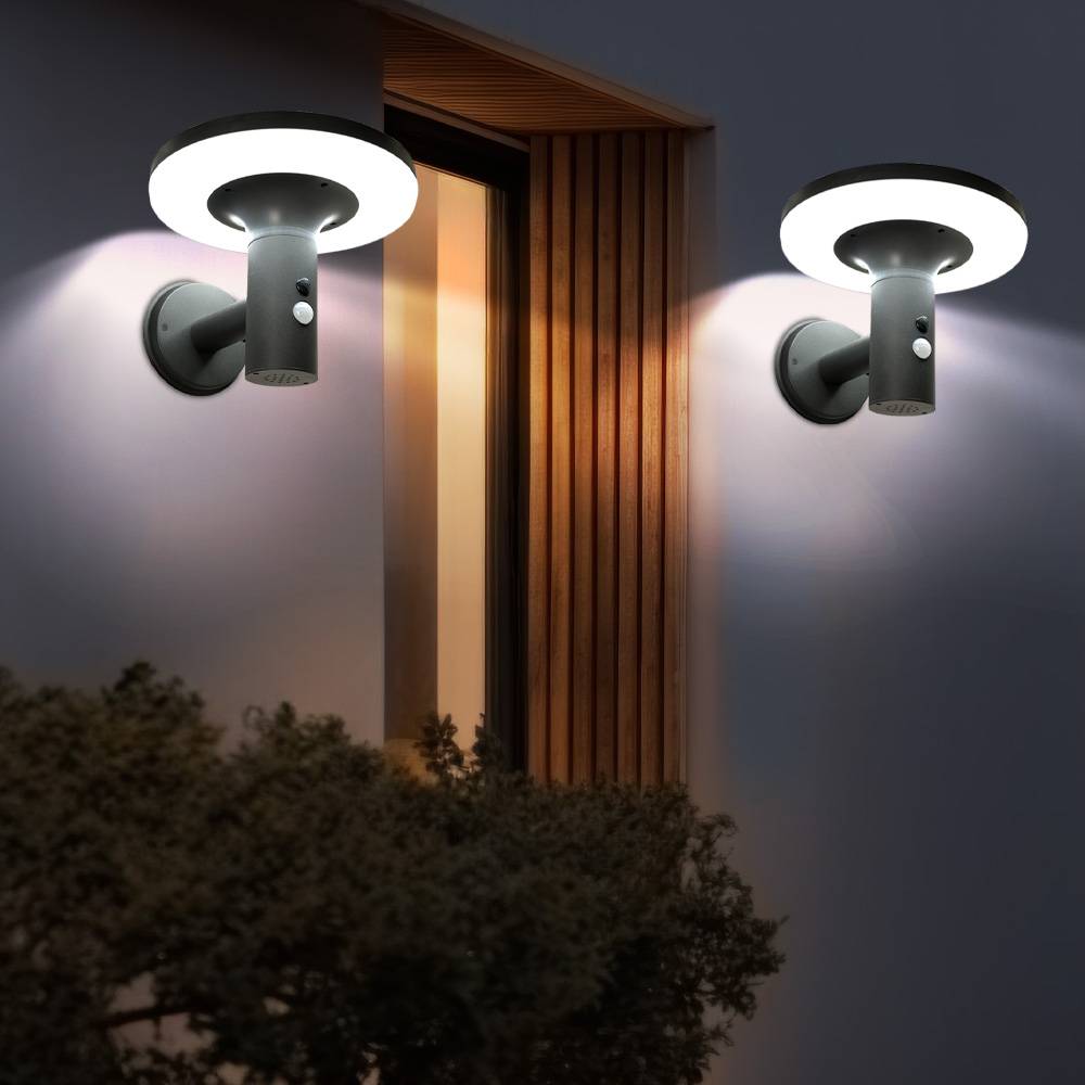 Wandlampe mit Bewegungsmelder LED Solarleuchte Haustürlampe Fassadenleuchte anthrazit Gartenlampe, 250lm, kaltweiß, BxH 24x21 cm