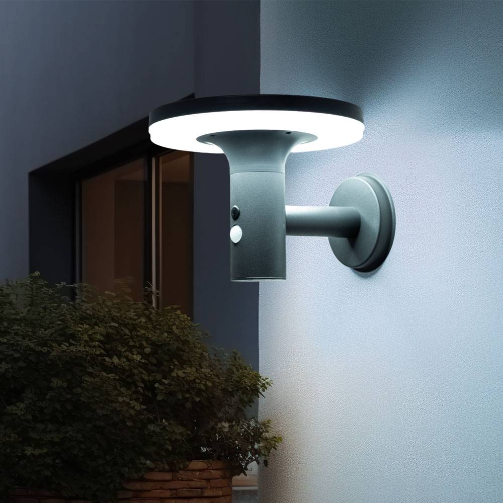 Wandlampe mit Bewegungsmelder LED Solarleuchte Haustürlampe Fassadenleuchte anthrazit Gartenlampe, 250lm, kaltweiß, BxH 24x21 cm