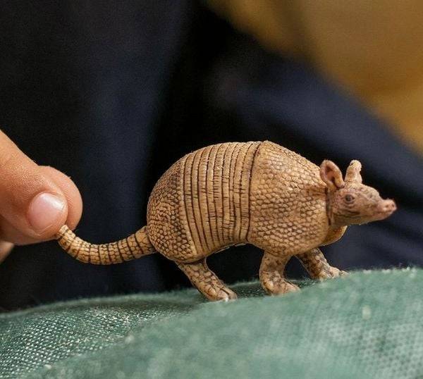 Schleich 14874 - Wild Life, Gürteltier, Tierfigur, Länge: 7,6 cm