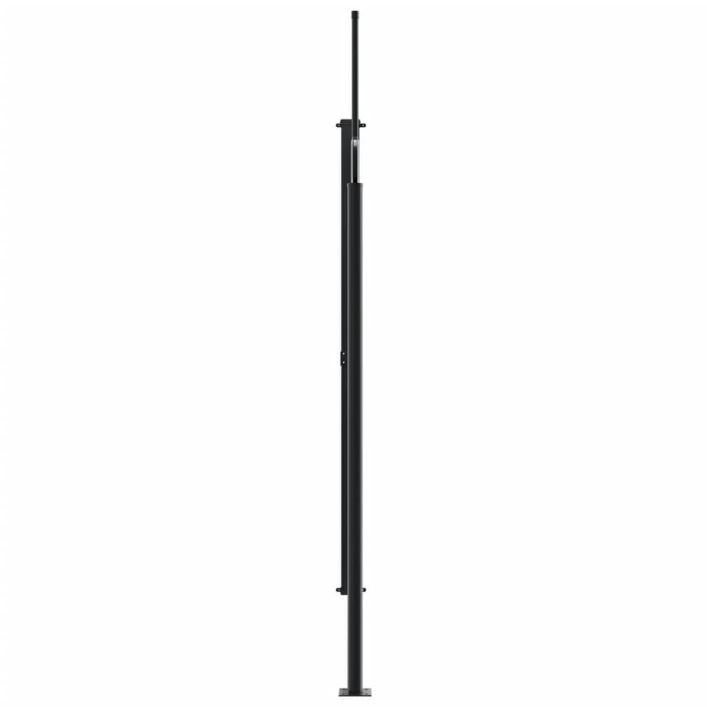 vidaXL Seitenmarkise Ausziehbar Schwarz 220x300 cm