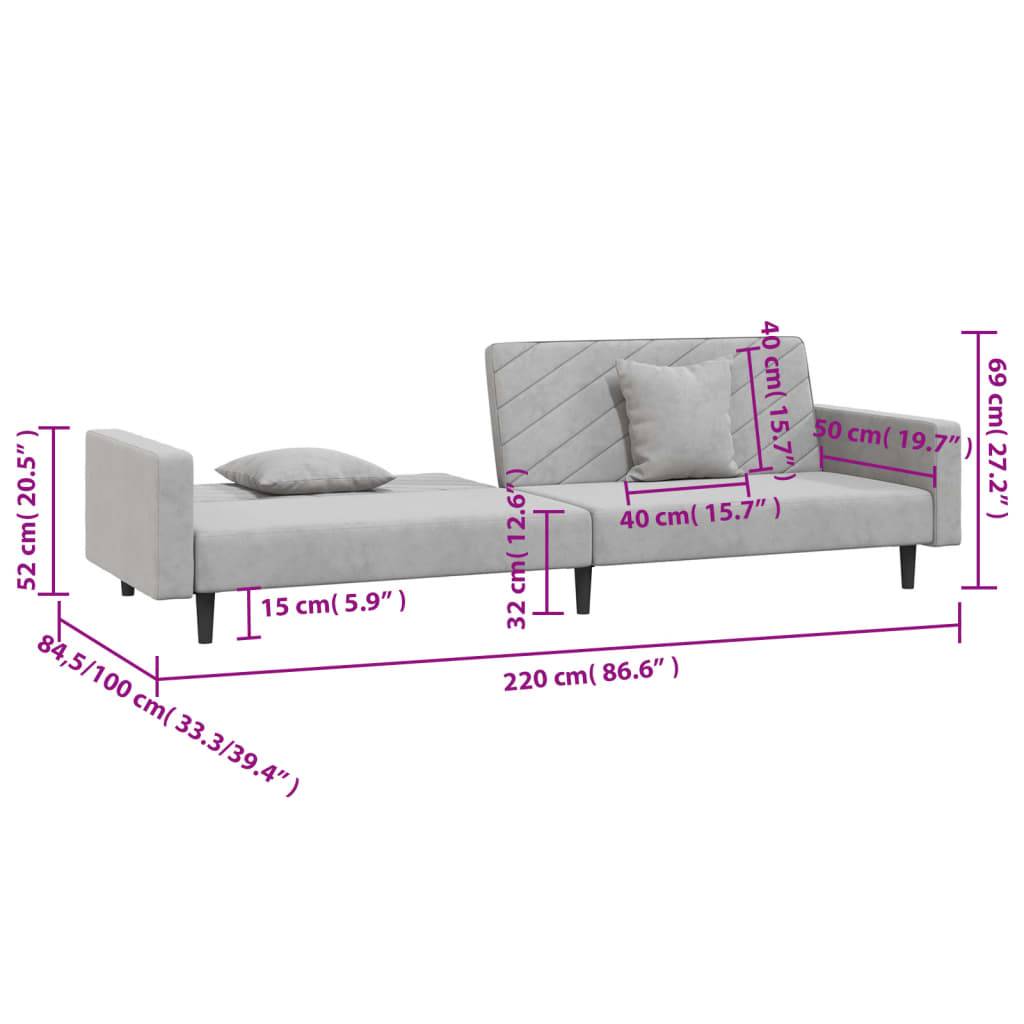 vidaXL Schlafsofa 2-Sitzer mit 2 Kissen Hellgrau Samt