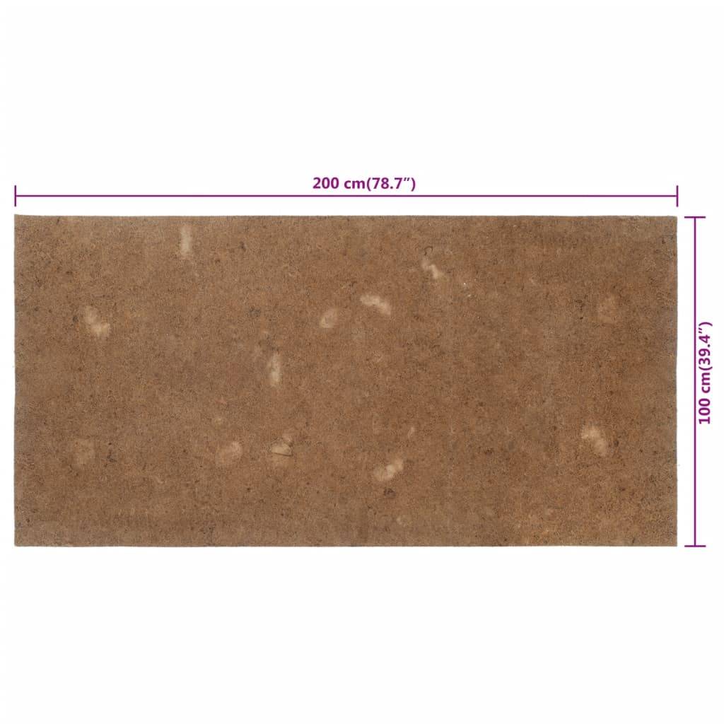 vidaXL Matratzenauflage 100x200 cm Kokosfasern