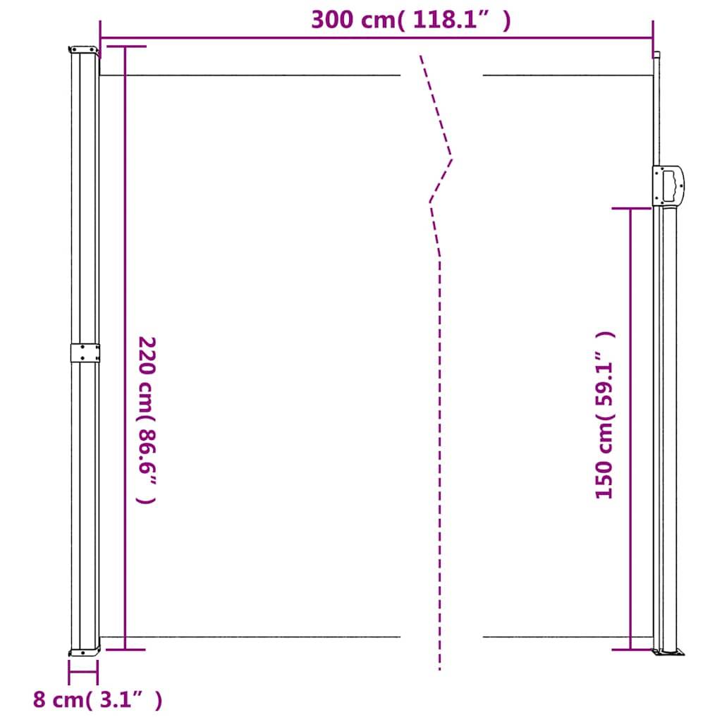 vidaXL Seitenmarkise Ausziehbar Schwarz 220x300 cm
