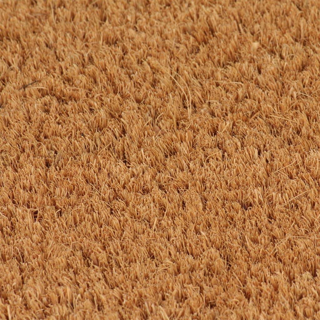 vidaXL Fußmatten 2 Stk. Natur 40x60 cm Kokosfaser Getuftet