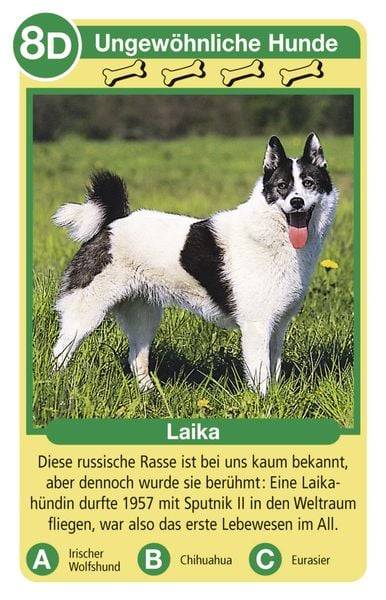 Tierquartett - Hunde (Ravensburger - 20420)