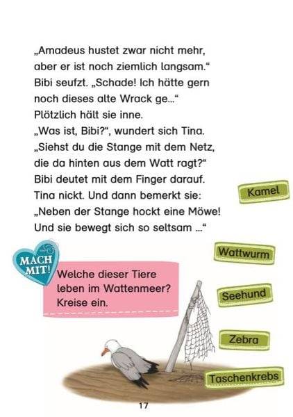 Bibi & Tina: Pferdesommer mit Bibi und Tina