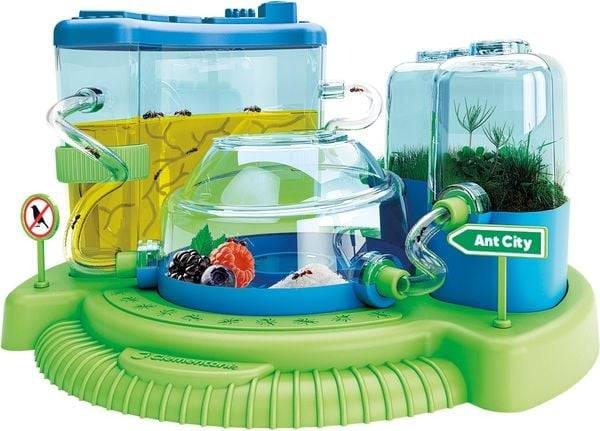 Entdecke die Welt der Ameisen