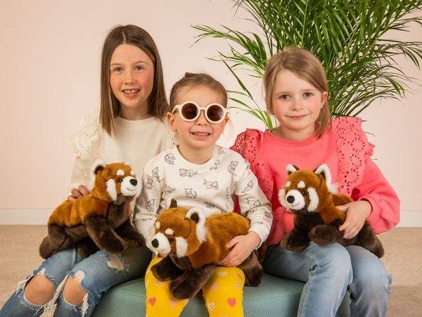 Teddy-Hermann - Roter Panda 30 cm