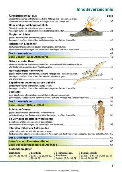 Das Übungsheft Lesen 4