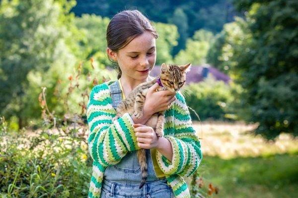 Lou - Abenteuer auf Samtpfoten