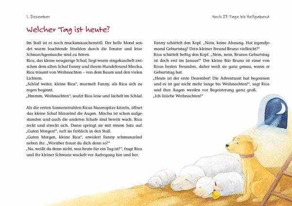 Ricas Weihnachtsüberraschung