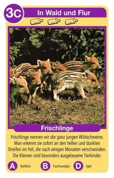 Tierquartett - Tierkinder (Ravensburger - 20423)