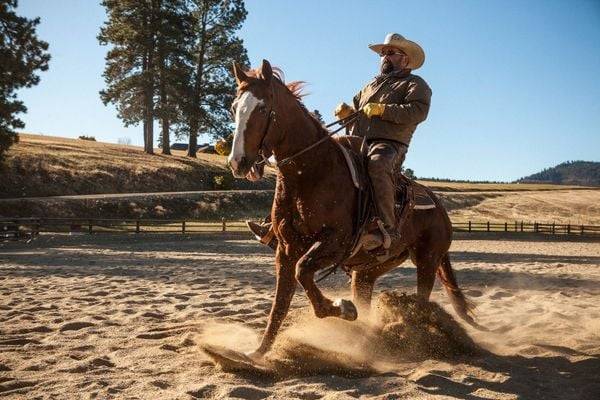 Yellowstone - Staffel 1 (+ Bonus-DVD) [3 DVDs]