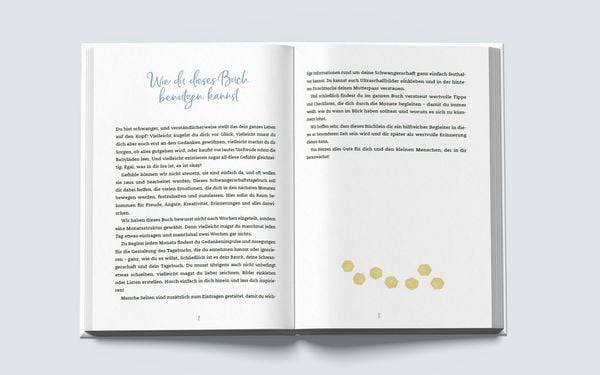 Das andere Schwangerschaftstagebuch (Dreieck-Edition)