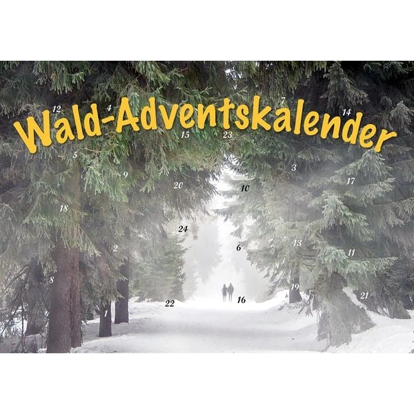 Durch den Wald im Advent Durch den Wald im Advent