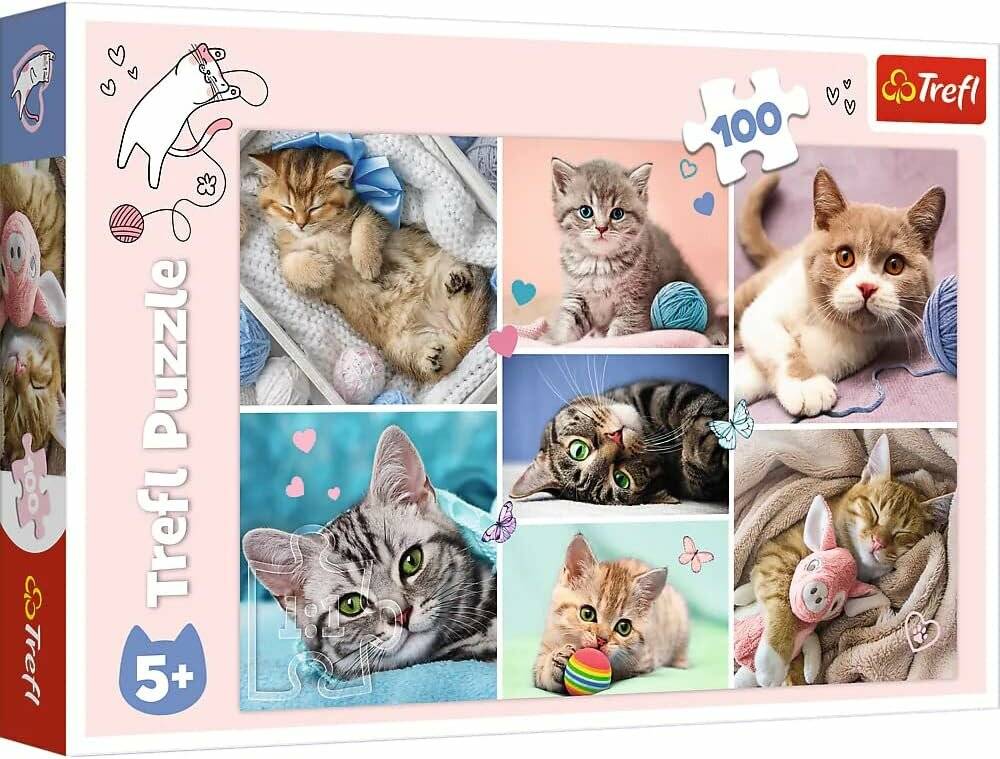 TREFL Puzzle In der Welt der Katze 100 Teile