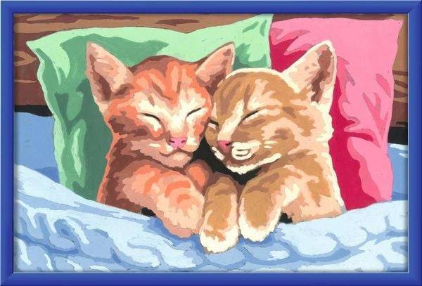 Ravensburger - Malen nach Zahlen - Verschmuste Kätzchen