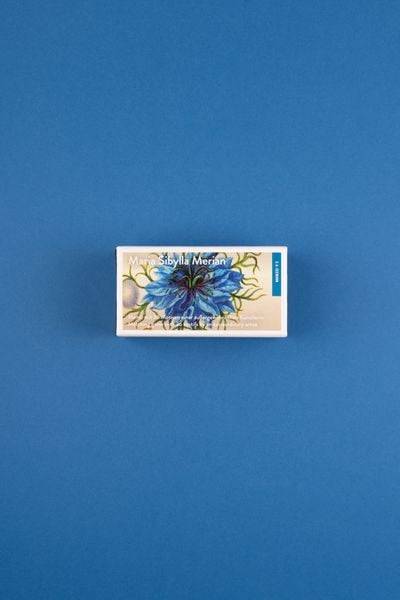 Maria Sibylla Merian. Memo