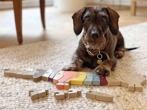 Small foot 12413 - Buchstabenpuzzle Hund, ABC-Lernspiel, Holz