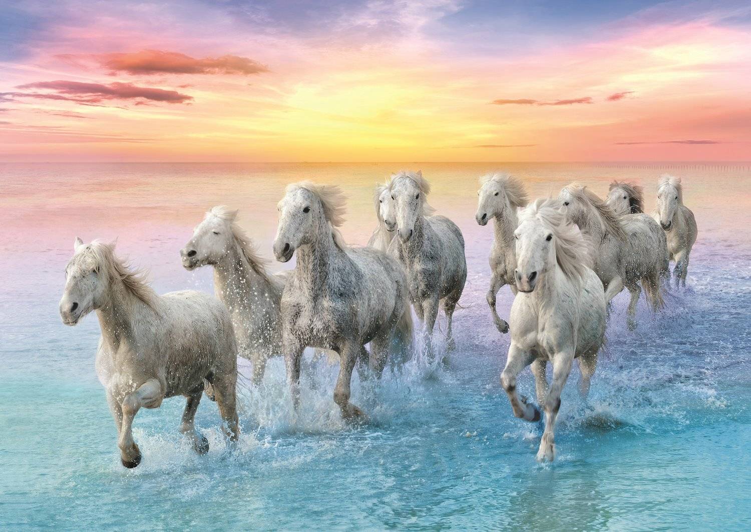 Puzzle 500 Teile Gallopierende Pferde
