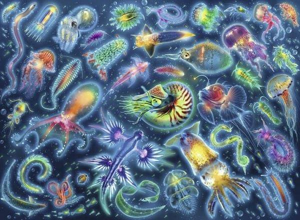 Ravensburger - Farbenfrohe Quallen, 500 Teile