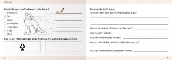 Ich kenne Waldtiere / Haus- und Hoftiere / Insekten und Spinnen. 3 Schülerarbeitshefte im Kombi für die 2. bis 4. Klasse