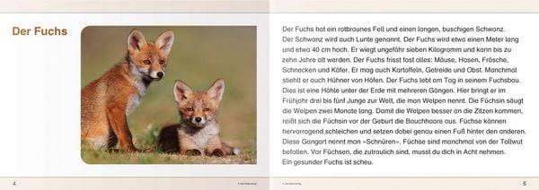 Ich kenne Waldtiere / Haus- und Hoftiere / Insekten und Spinnen. 3 Schülerarbeitshefte im Kombi für die 2. bis 4. Klasse