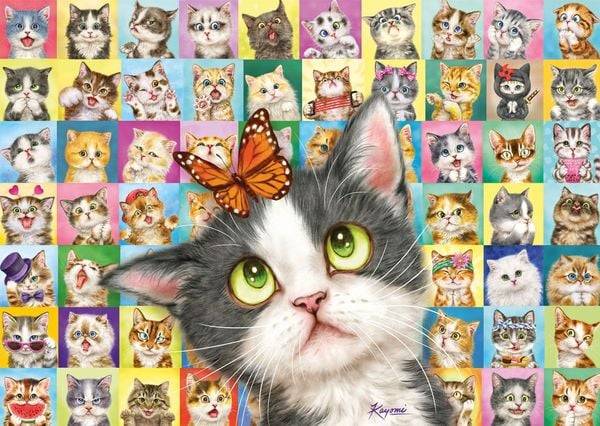 Schmidt Spiele - Katzen-Mimik, 1000 Teile