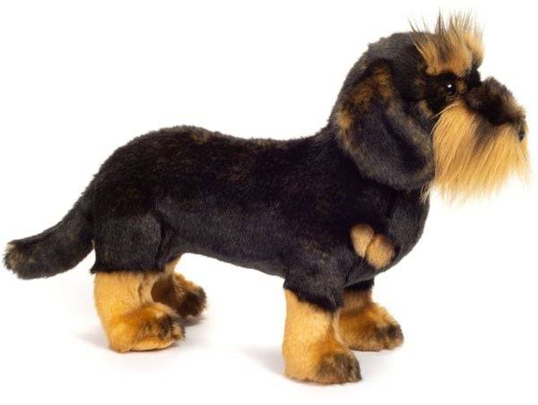 Teddy-Hermann - Rauhaardackel stehend, 28 cm