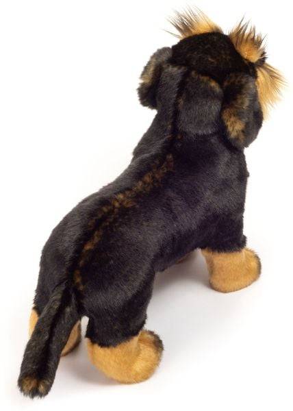 Teddy-Hermann - Rauhaardackel stehend, 28 cm