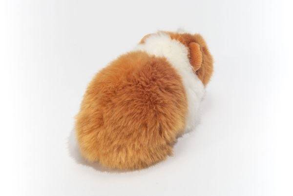 Meerschweinchen gold/weiß, 20 cm