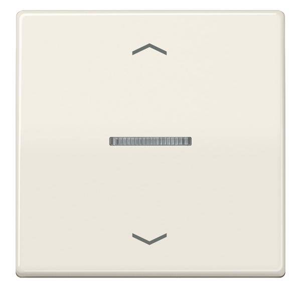 10 Stk. Jung eNet Funk-Steuertaste FM AS 1700 P