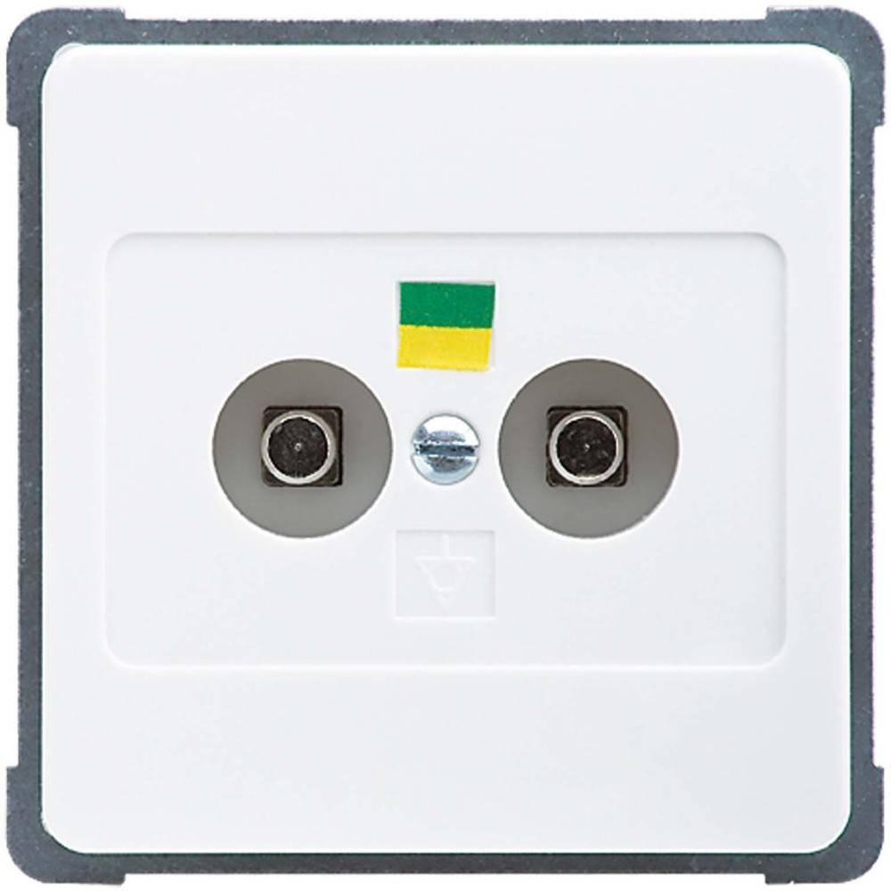 10 Stk. Elso UP-Potentialausgleichsdose 216104