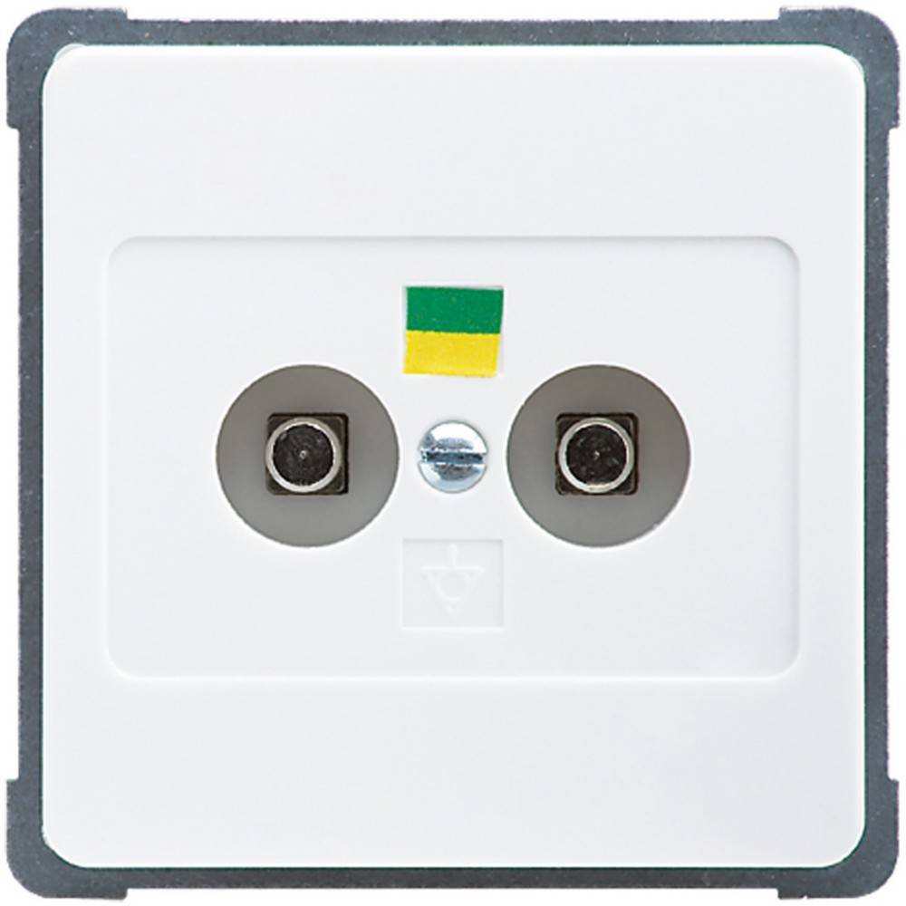 10 Stk. Elso UP-Potentialausgleichsdose 216104