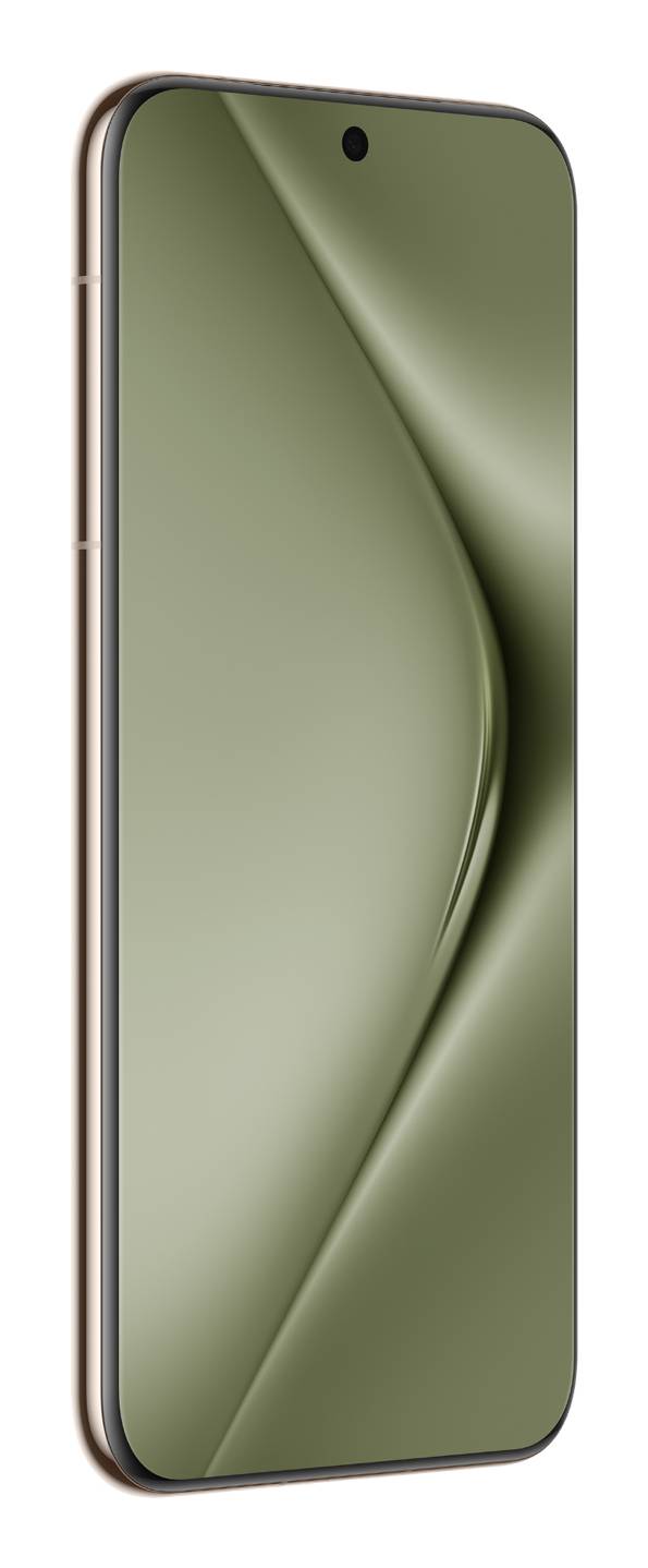 Vorderansicht eines grünen Smartphones mit einer zentrierten Loch-Kamera und gekrümmtem Displayrand