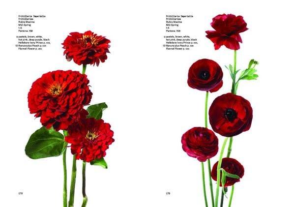 Flower Colour Guide