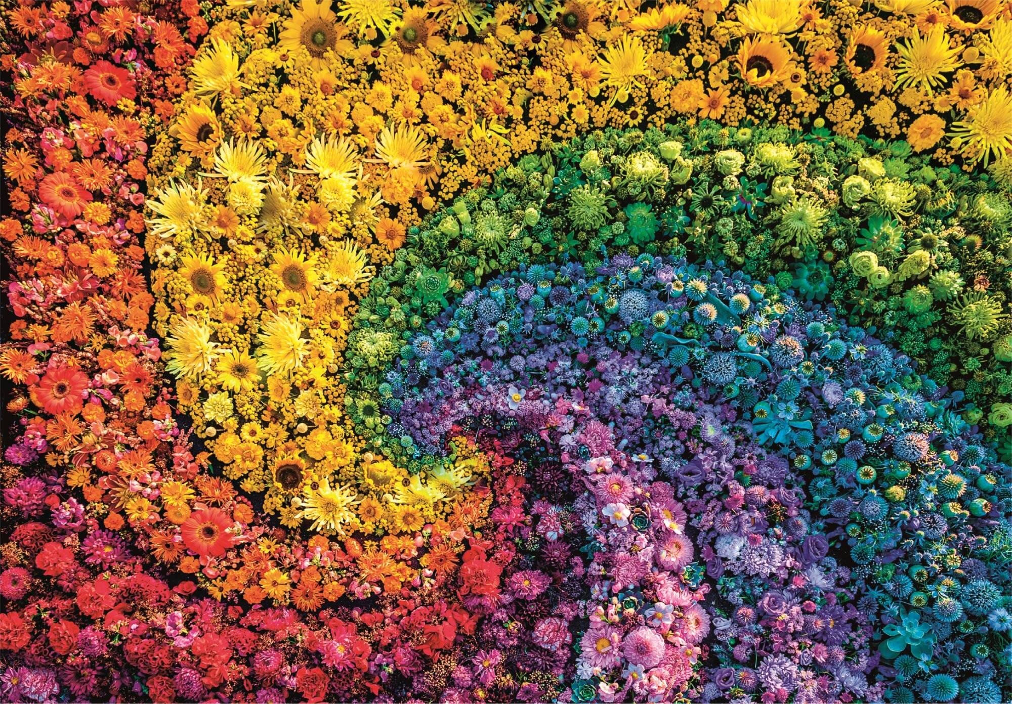 CLEMENTONI Puzzle ColorBoom: Vortex 1000 Teile
