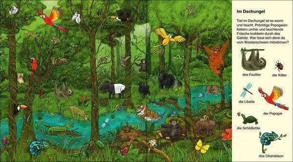 Suche und finde! - Wilde Tiere