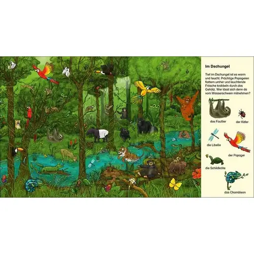 Suche und finde! - Wilde Tiere Suche und finde! - Wilde Tiere