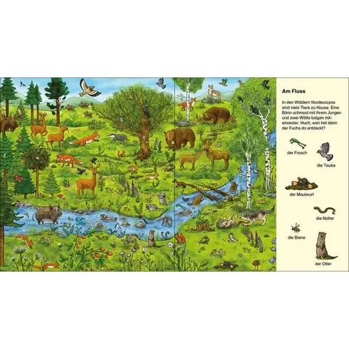 Suche und finde! - Wilde Tiere Suche und finde! - Wilde Tiere