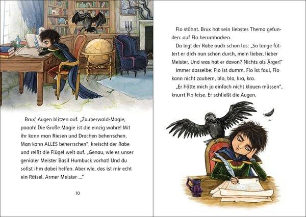 Der Zauberschüler (Band 1) - Fluch des Hexenmeisters