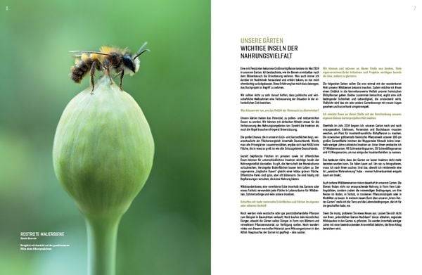 Wildbienenhelfer
