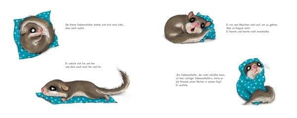 Der kleine Siebenschläfer 1: Die Geschichte vom kleinen Siebenschläfer, der nicht einschlafen konnte