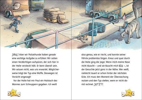 Kommissar Pfote (Band 2) - Auf der Spur der Diamanten-Diebin