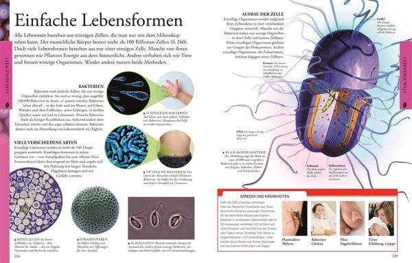 Wissen für clevere Kids. Naturwissenschaften für clevere Kids