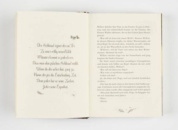 Ein Mädchen namens Willow 1: Ein Mädchen namens Willow