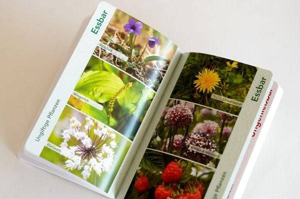 Bushcraft. Jagen, Sammeln, Kochen in der Wildnis